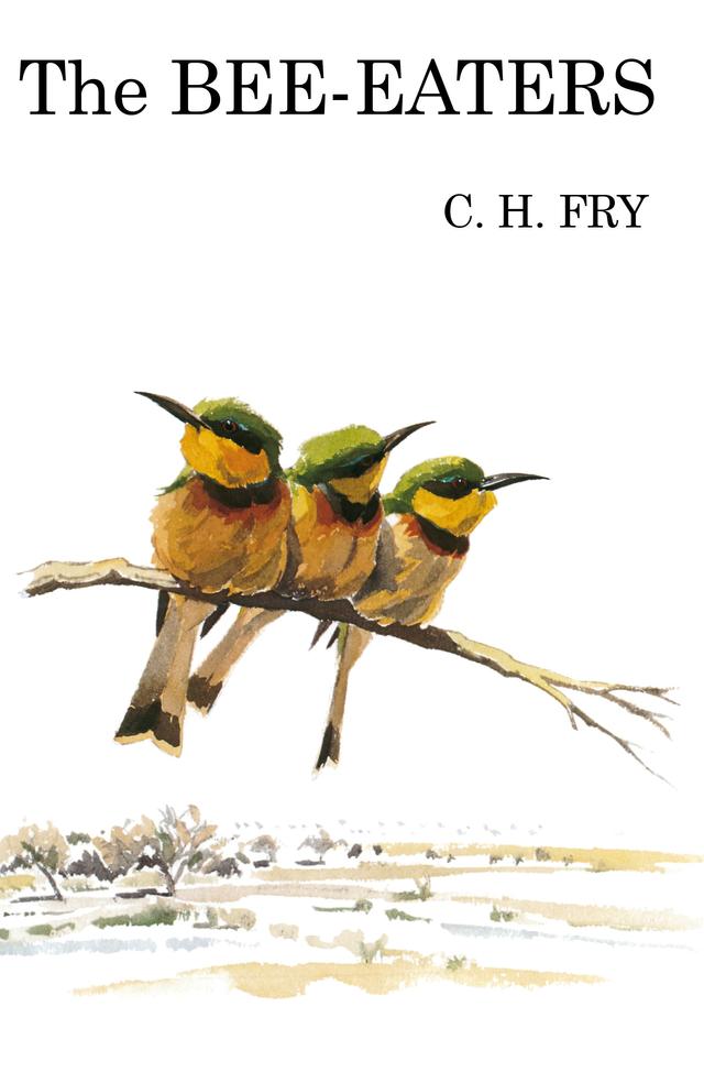 The Bee-Eaters by 