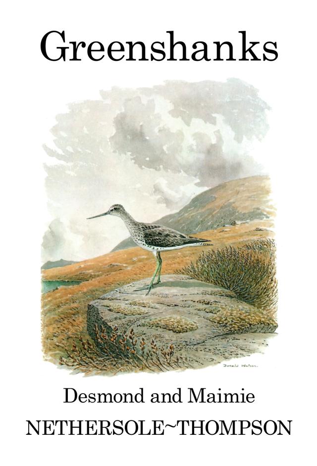 Greenshanks by 