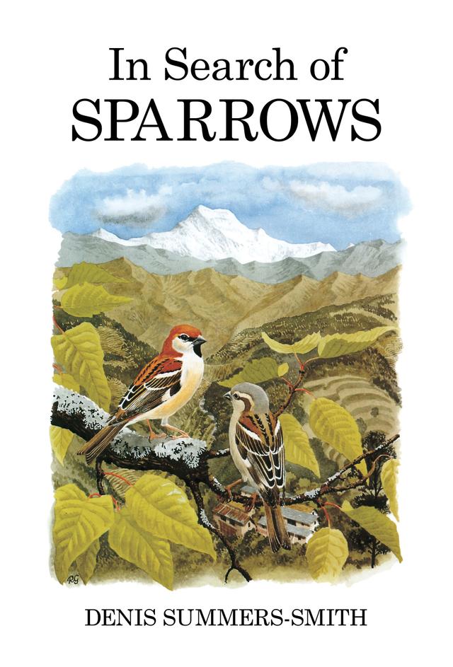 In Search of Sparrows by 