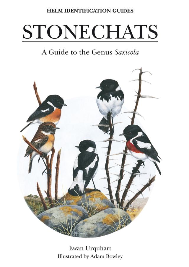 Stonechats by Adam Bowley, Ewan Urquhart
