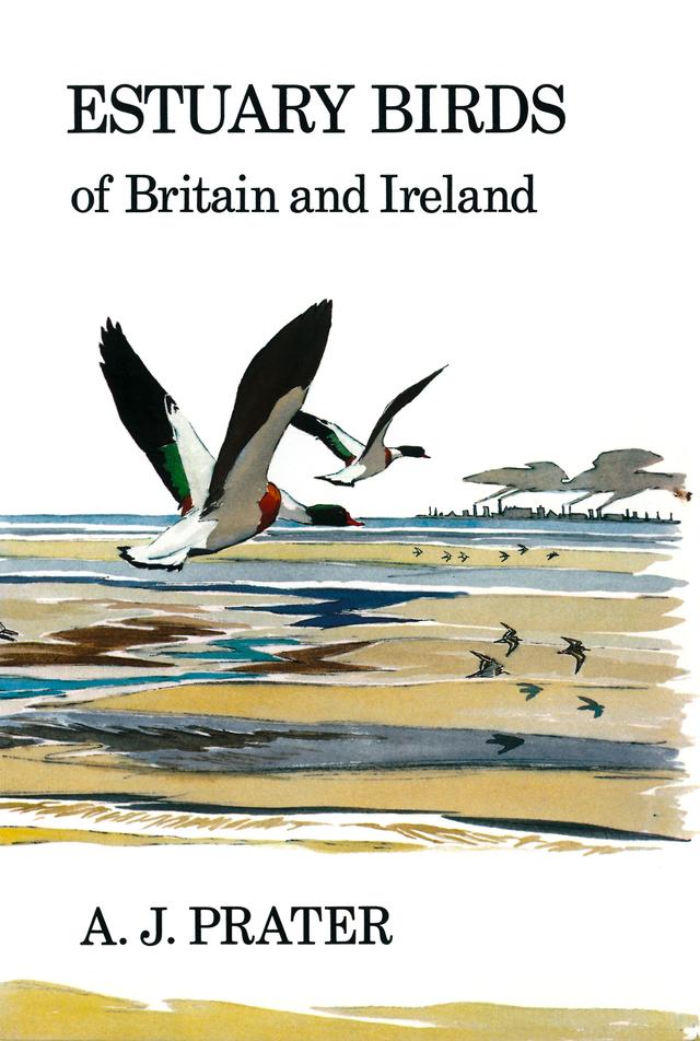 Estuary Birds of Britain and Ireland by 