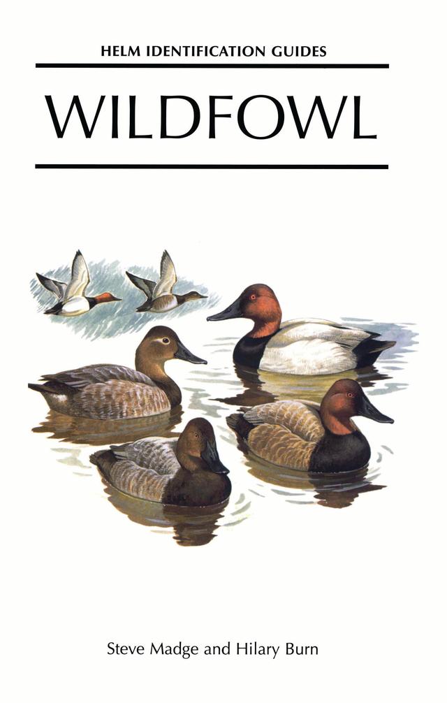 Wildfowl by Hilary Burn, Steve Madge