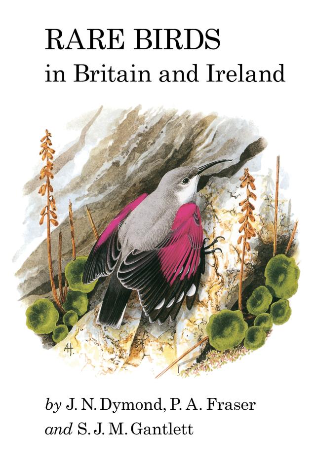 Rare Birds in Britain and Ireland by 