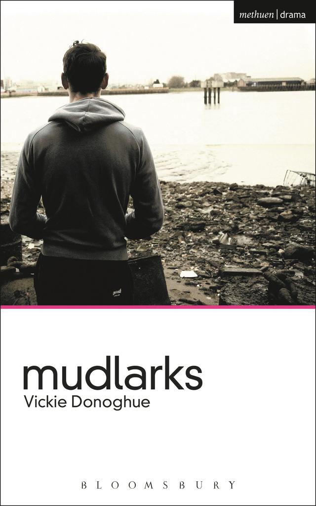 Mudlarks by Vickie Donoghue