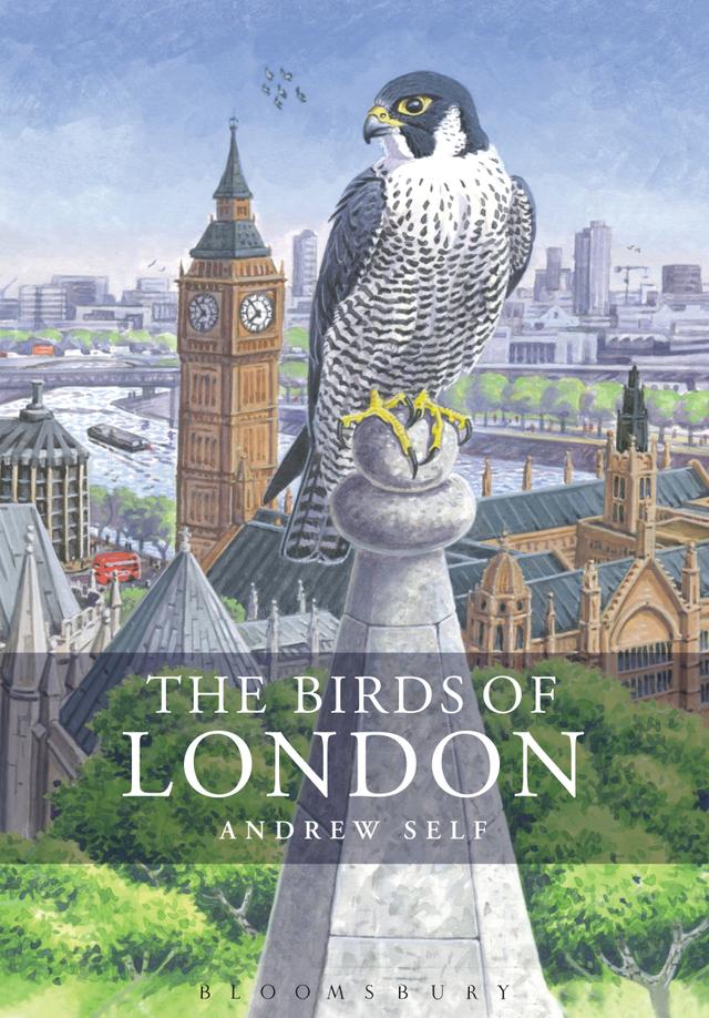 The Birds of London by Andrew Self