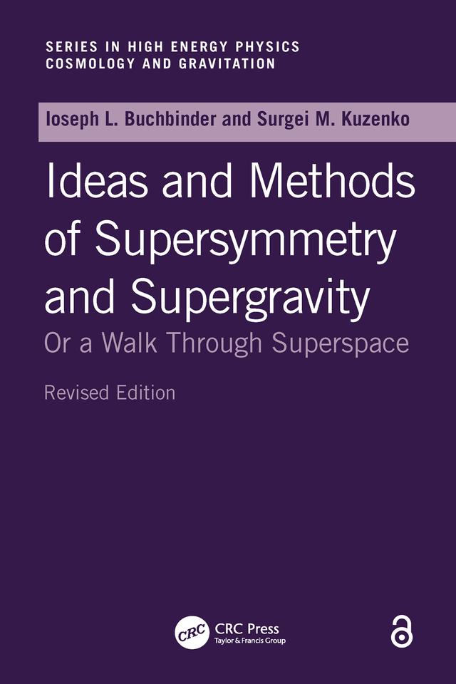 Introduction to Supersymmetric Field Theory by Sergio M. Kuzenko