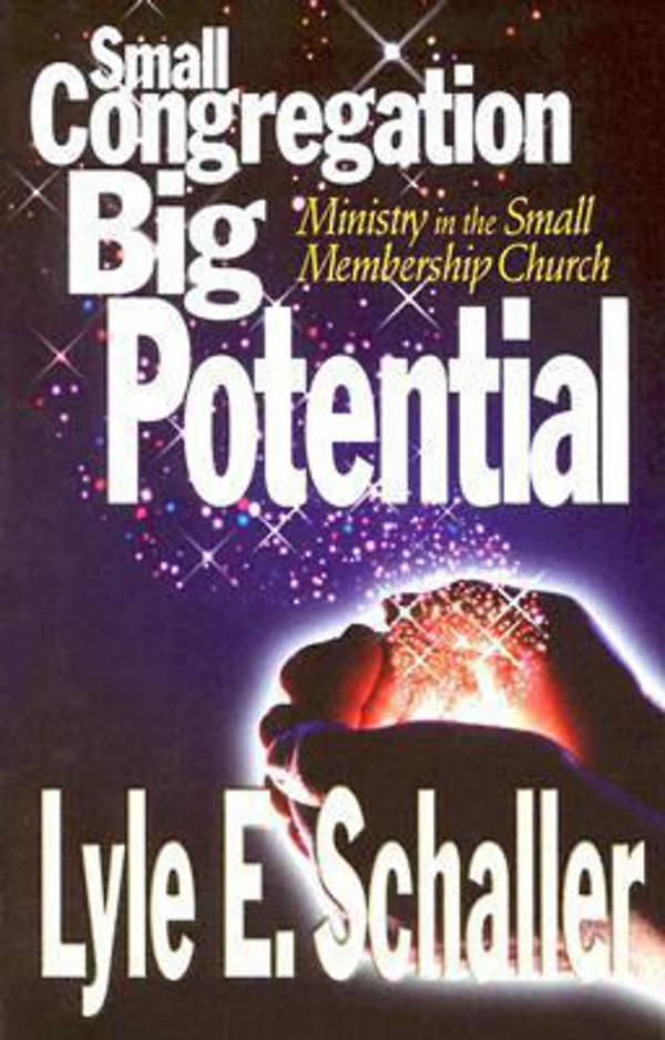 Small Congregation, Big Potential by Lyle E Schaller