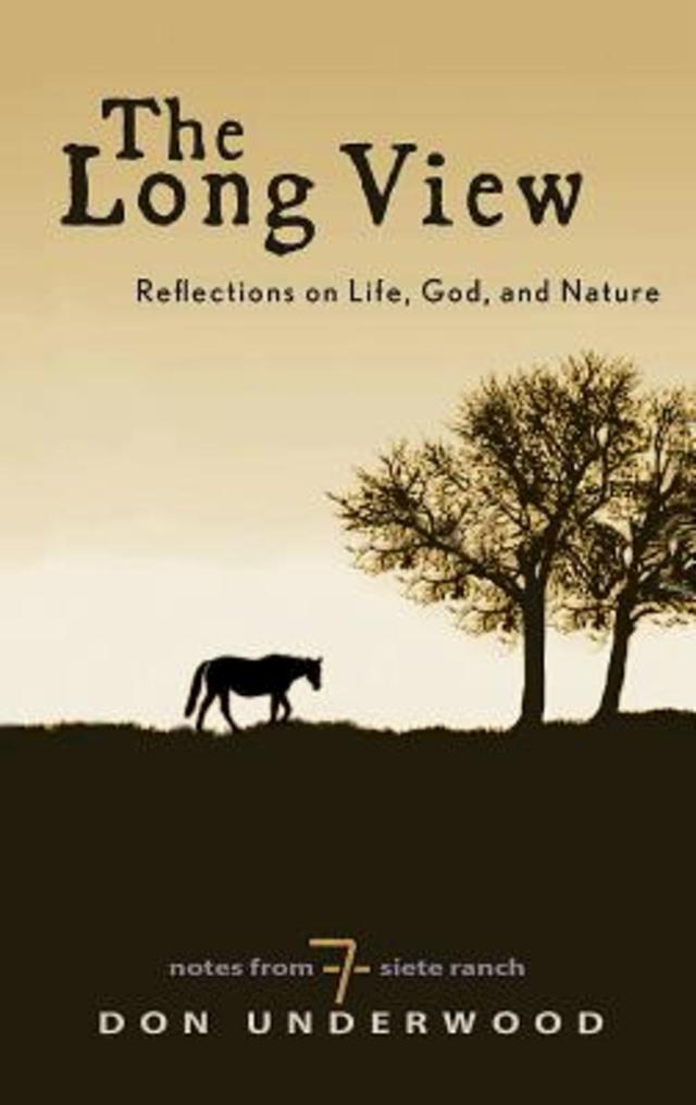 The Long View by Alton Loyd Gansky, Don Underwood