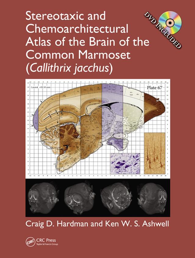 Stereotaxic and Chemoarchitectural Atlas of the Brain of the Common Marmoset (Callithrix jacchus) by Craig D. Hardman, Ken W. S. Ashwell