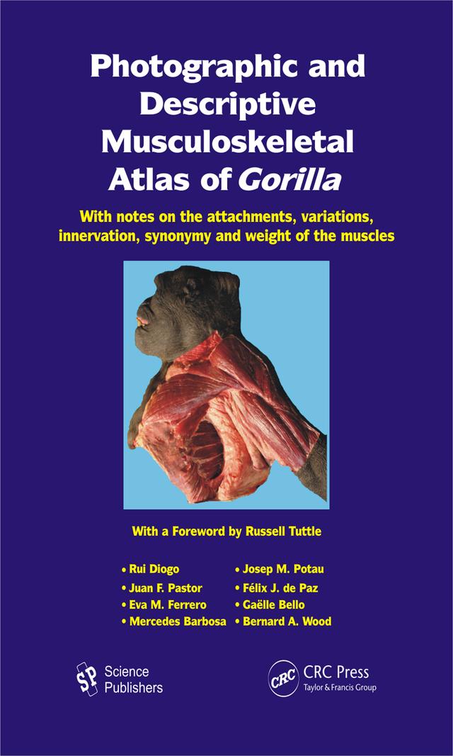 Photographic and Descriptive Musculoskeletal Atlas of Gorilla by Bernard A. Wood, Eva M. Ferrero, Felix J. dePaz, Gaelle Bello, Josep M. Potau, Juan F. Pastor, Mercedex Barbosa, Rui Diogo
