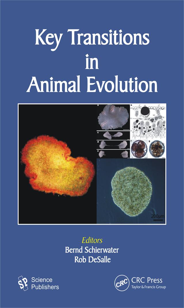 Key Transitions in Animal Evolution by Bernd Schierwater, Rob Desalle