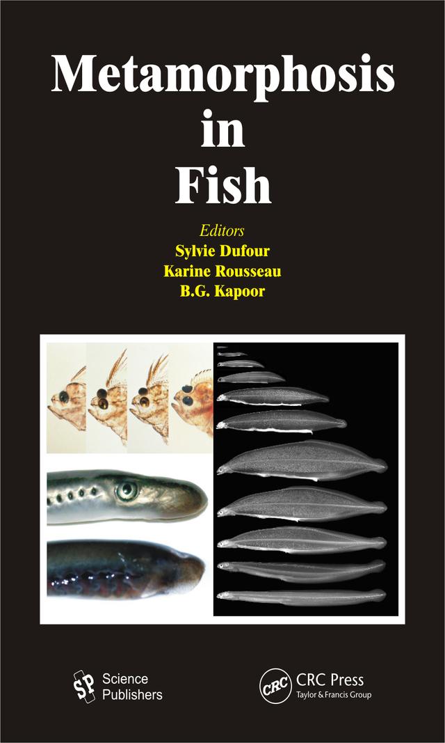 Metamorphosis in Fish by B. G. Kapoor, Karine Rousseau, Sylvie Dufour