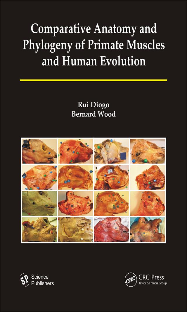 Comparative Anatomy and Phylogeny of Primate Muscles and Human Evolution by Bernard A. Wood, Rui Diogo