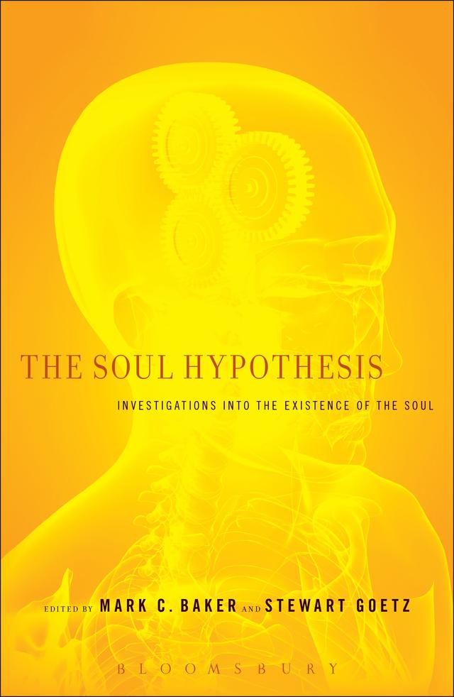 The Soul Hypothesis by 