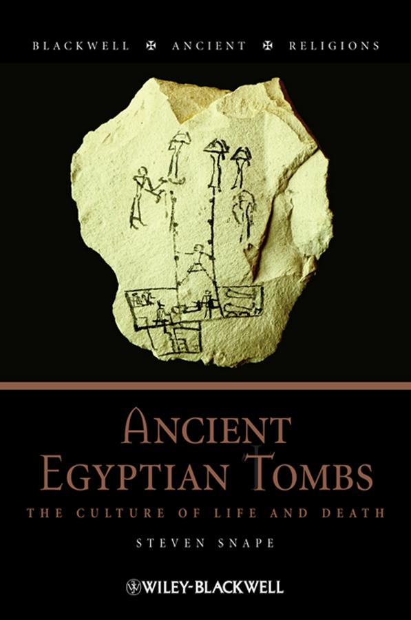 Ancient Egyptian Tombs by Steven Snape