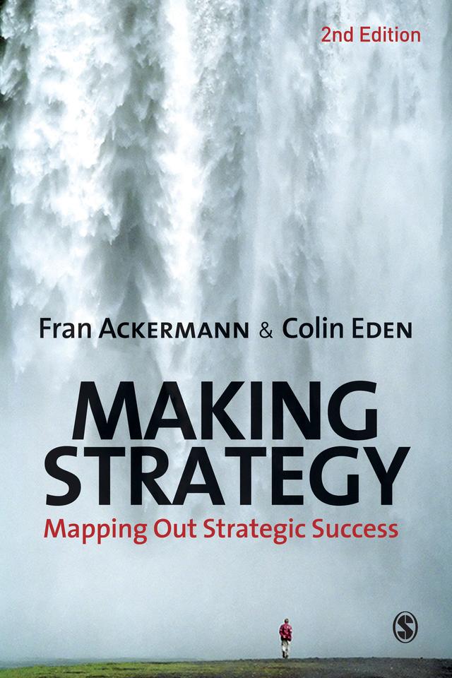 Making Strategy by Fran Ackermann