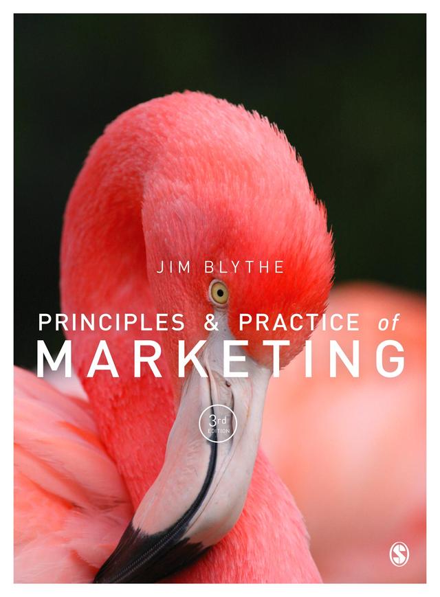 Principles and Practice of Marketing by Jim Blythe