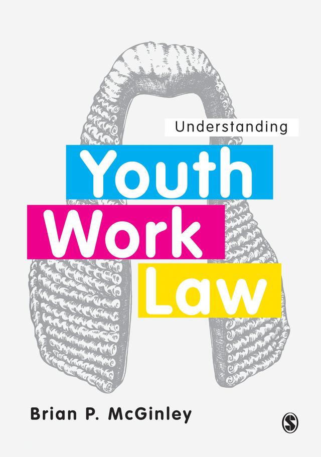 Understanding Youth Work Law by Brian P. McGinley