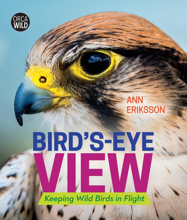 Bird's-Eye View by Ann Eriksson