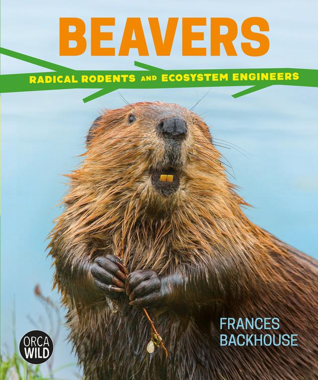Beavers by Frances Backhouse