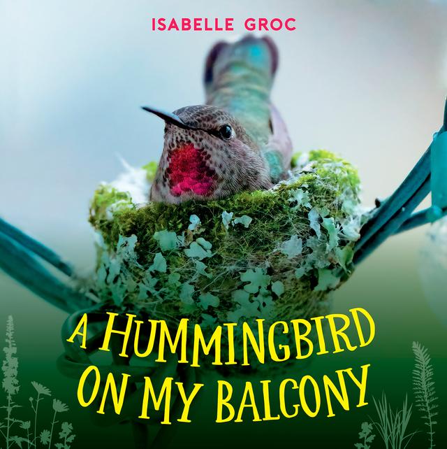 A Hummingbird on My Balcony by Isabelle Groc