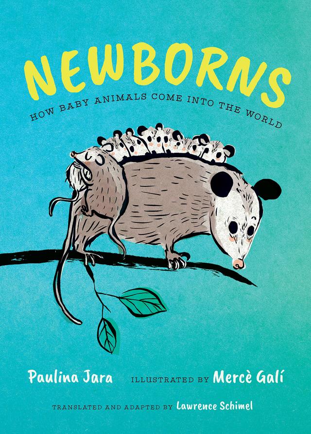 Newborns by Lawrence Schimel, Mercè Galí, Paulina Jara