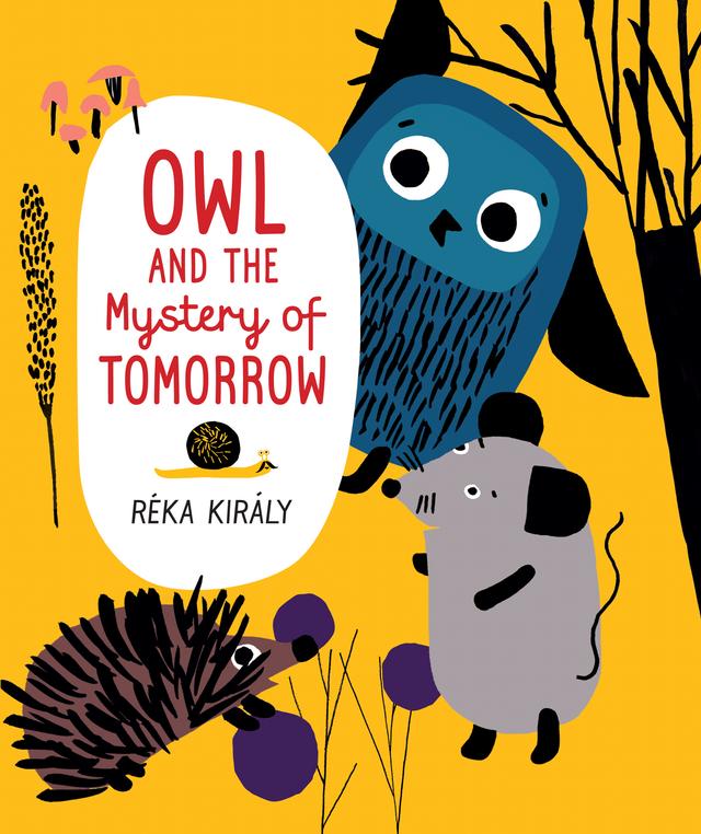 Owl and the Mystery of Tomorrow by Mia Spangenberg, Réka Király