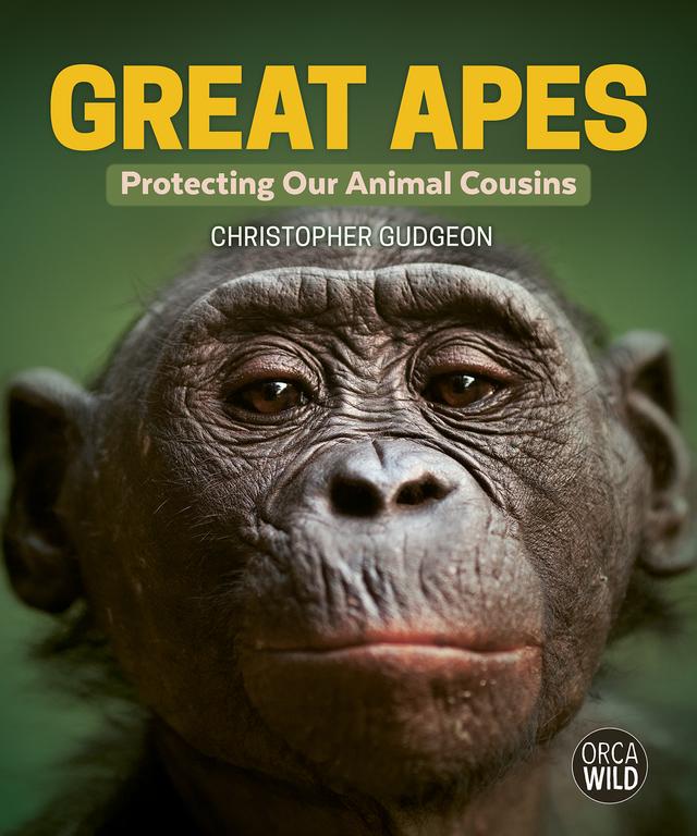 Great Apes by Christopher Gudgeon