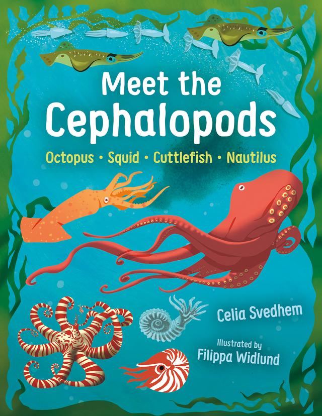 Meet the Cephalopods by B.J. Woodstein, Celia Svedhem, Filippa Widlund