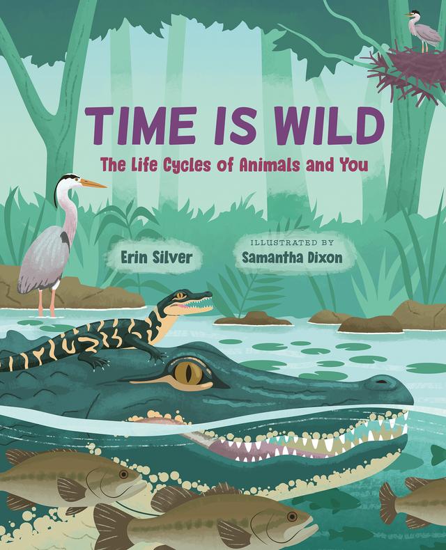 Time Is Wild by Erin Silver, Samantha Dixon