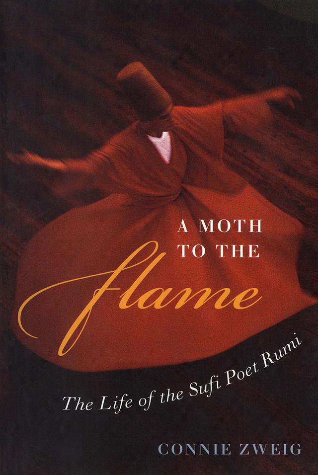 A Moth to the Flame by Connie Zweig