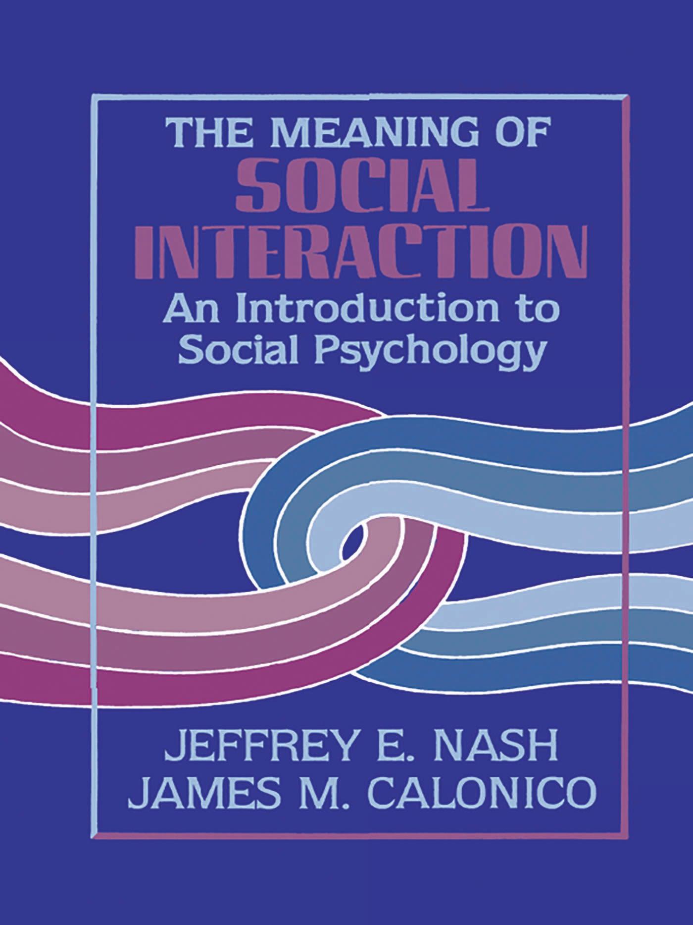 The Meaning of Social Interaction