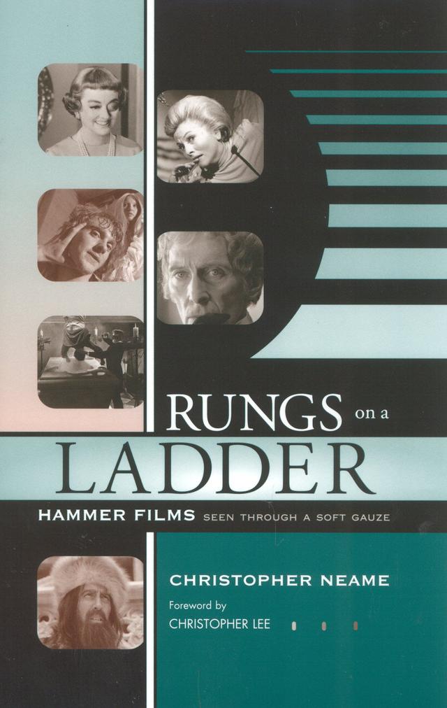Rungs on a Ladder by 