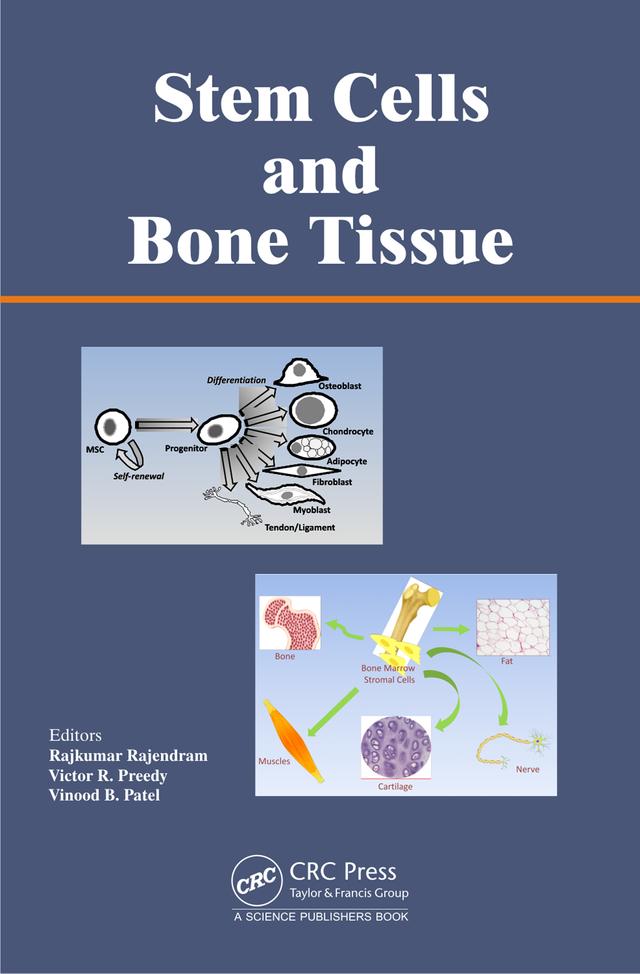 Stem Cells and Bone Tissue by Rajkumar Rajendram, Victor R. Preedy, Vinood Patel