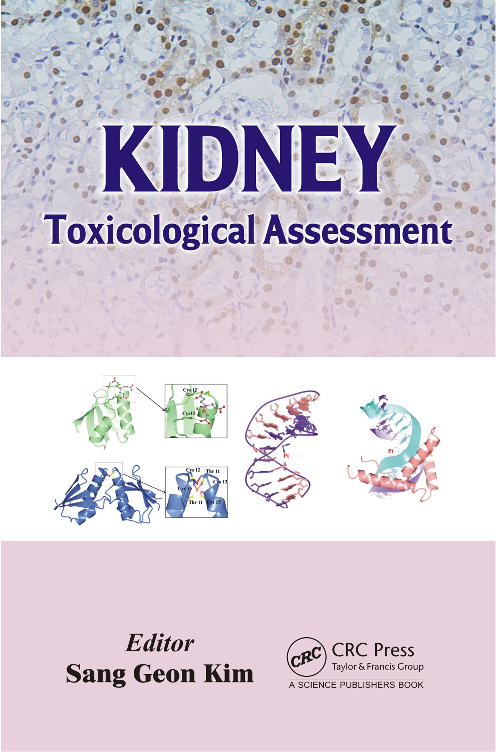 Kidney