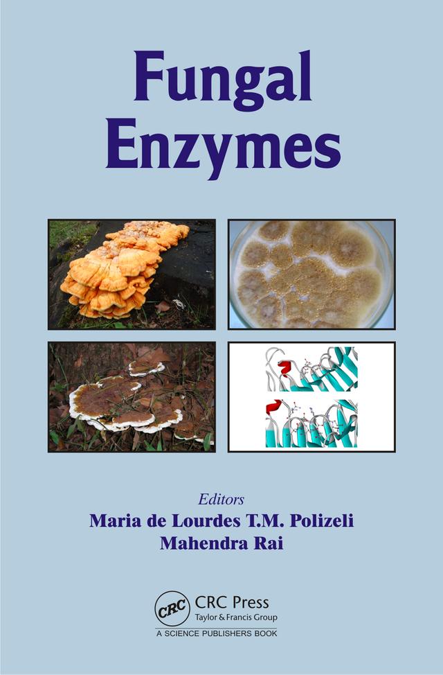 Fungal Enzymes by Mahendra Rai, Maria de Lourdes T. M. Polizeli