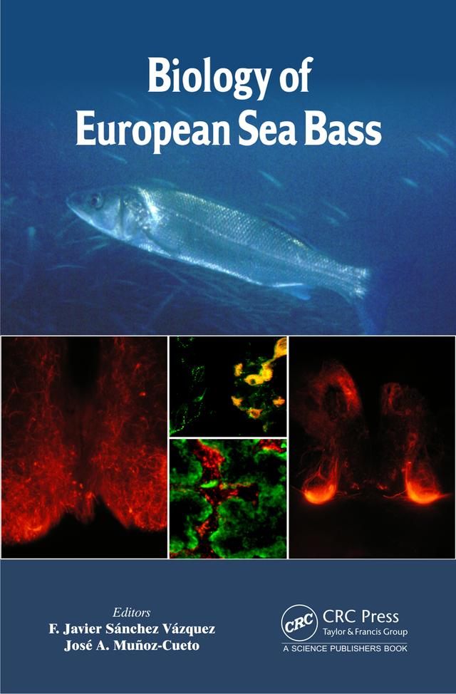 Biology of European Sea Bass by F. Javier Sánchez Vázquez, José A. Muñoz-Cueto