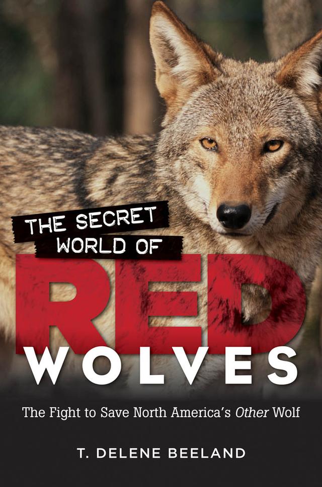 The Secret World of Red Wolves by T. DeLene Beeland