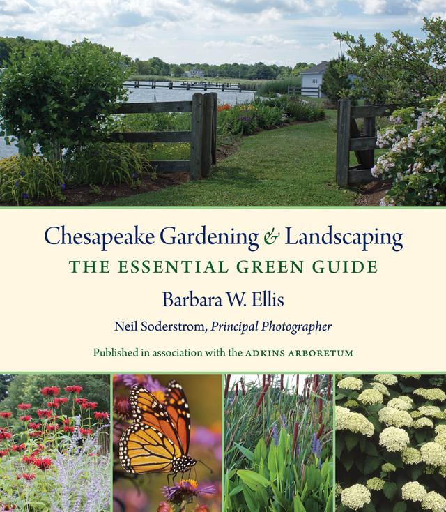 Chesapeake Gardening and Landscaping by Barbara W. Ellis, Neil Soderstrom