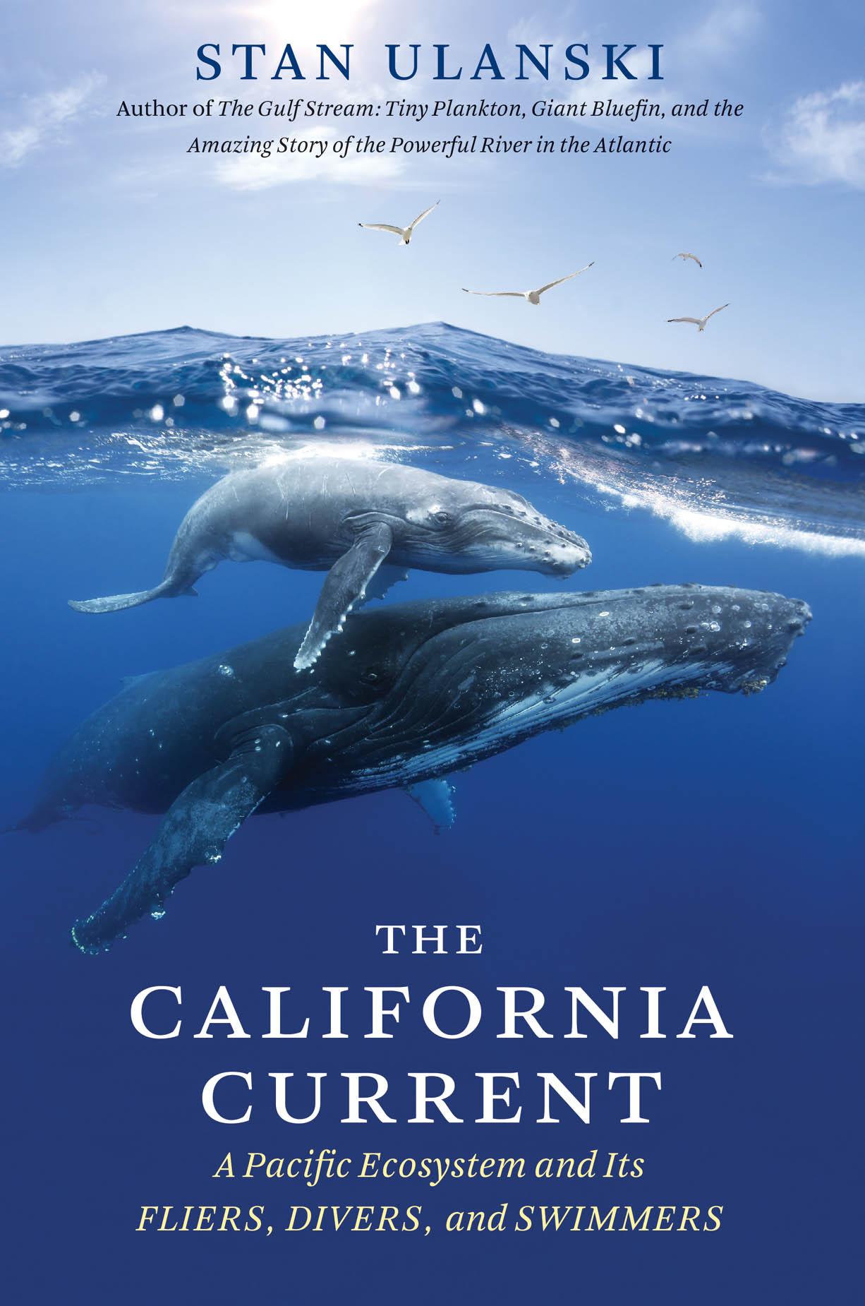 The California Current