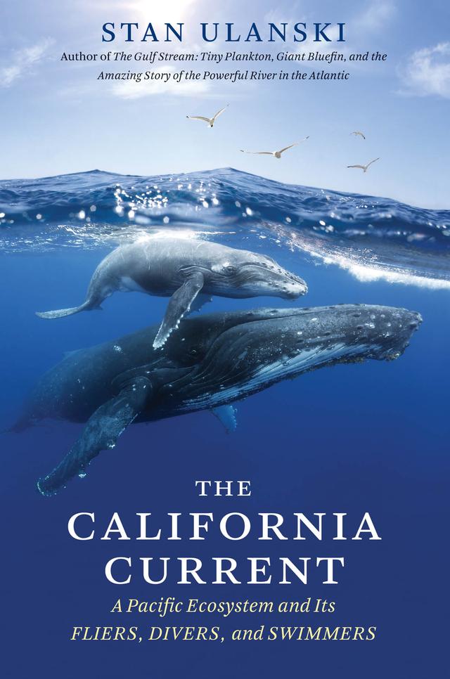 The California Current by Stan Ulanski