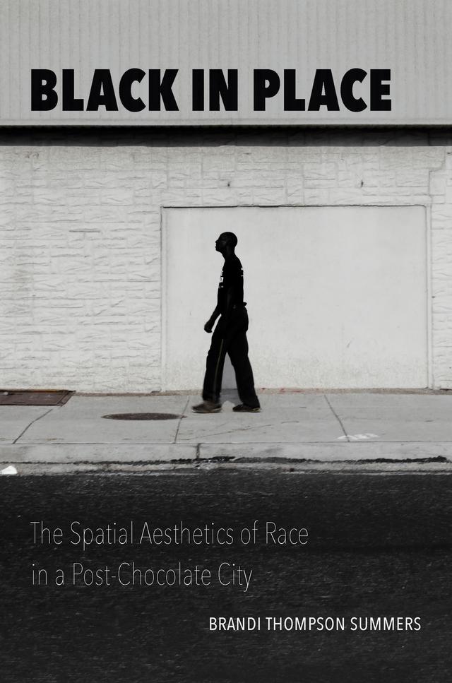 Black in Place by Brandi Thompson Summers