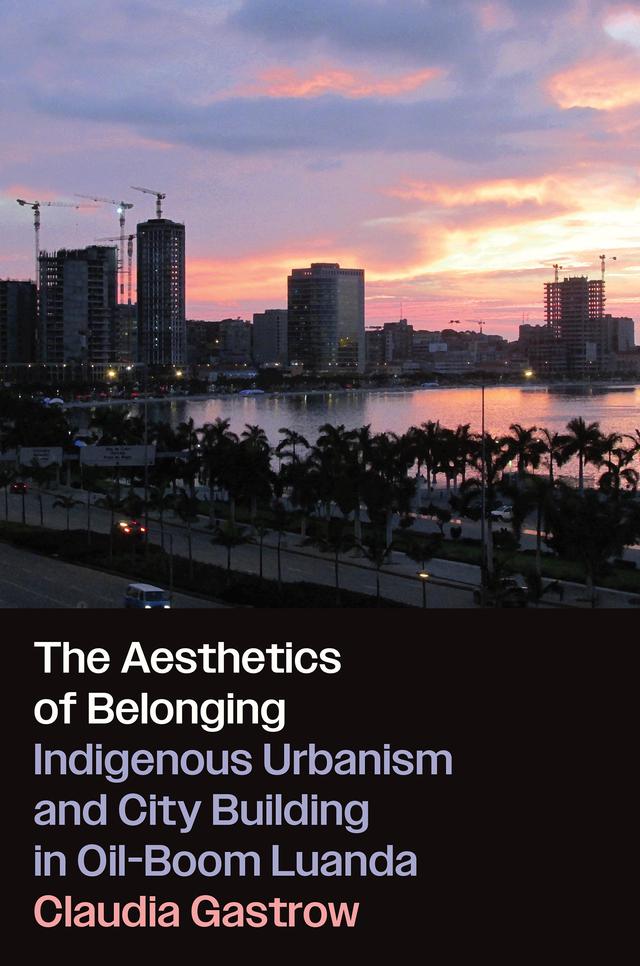 The Aesthetics of Belonging by Claudia Gastrow