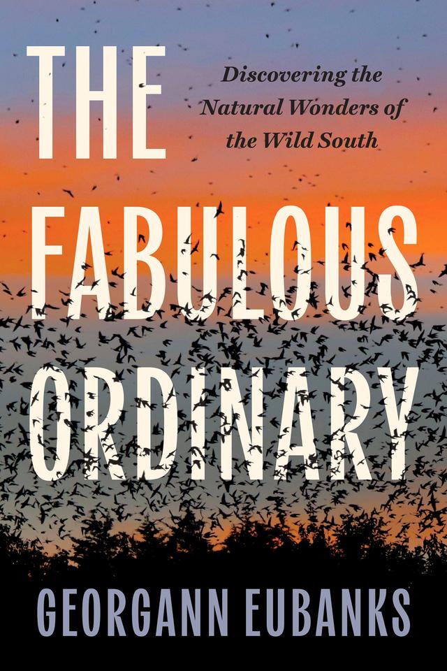 The Fabulous Ordinary by Georgann Eubanks