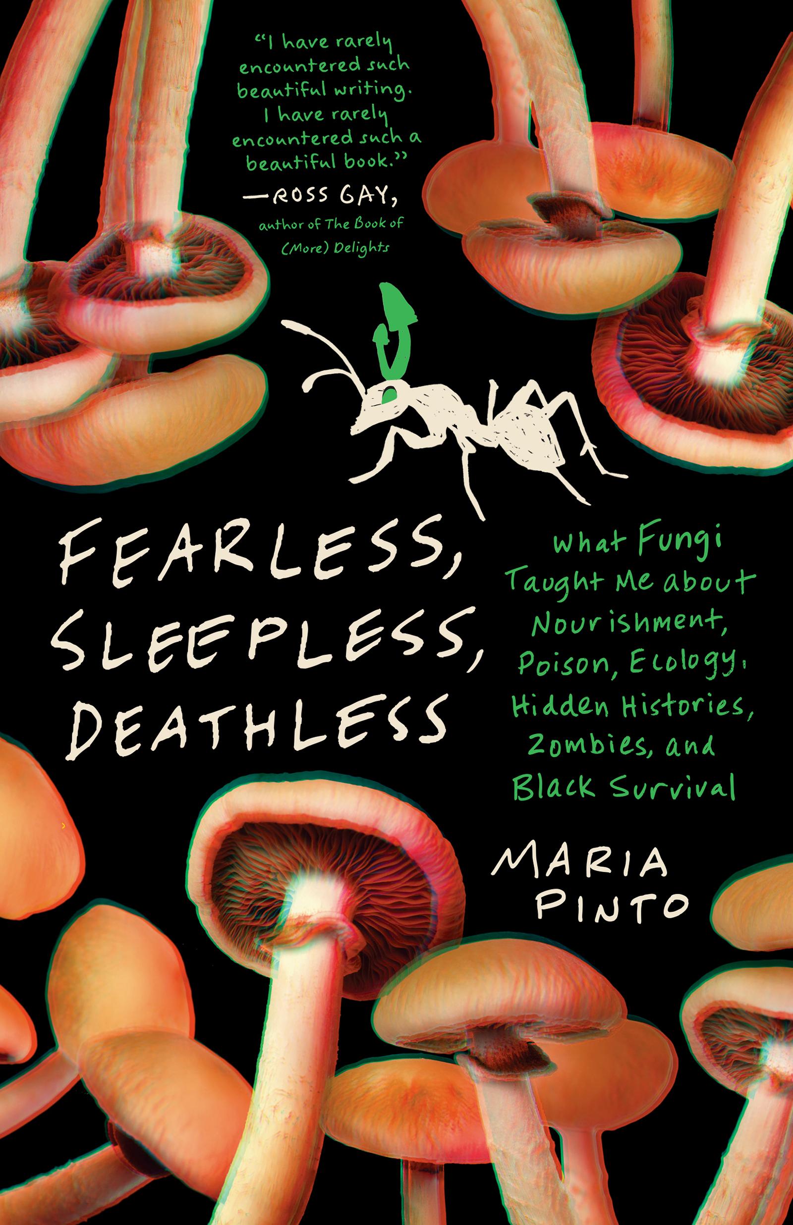 Fearless, Sleepless, Deathless