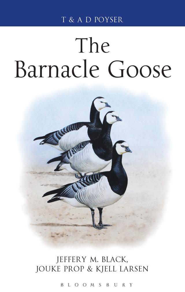 The Barnacle Goose by Jeffrey M. Black, Jouke Prop, Kjell Larsson