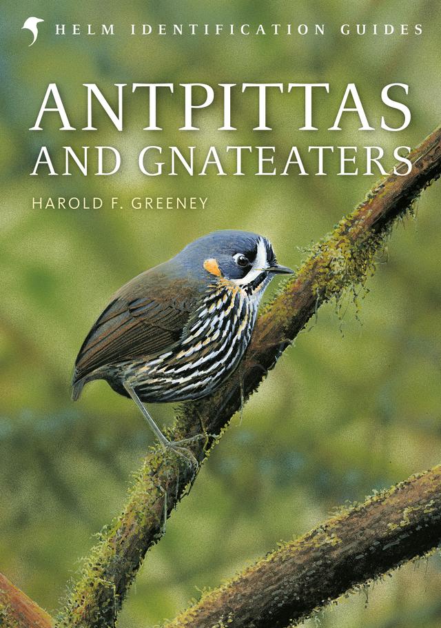 Antpittas and Gnateaters by David Beadle, Harold Greeney