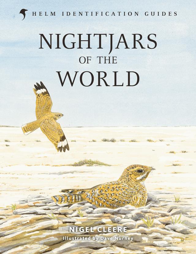 Nightjars of the World by Nigel Cleere