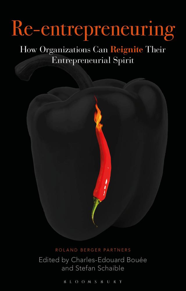 Re-Entrepreneuring by Charles-Edouard Bouée, Stefan Schaible