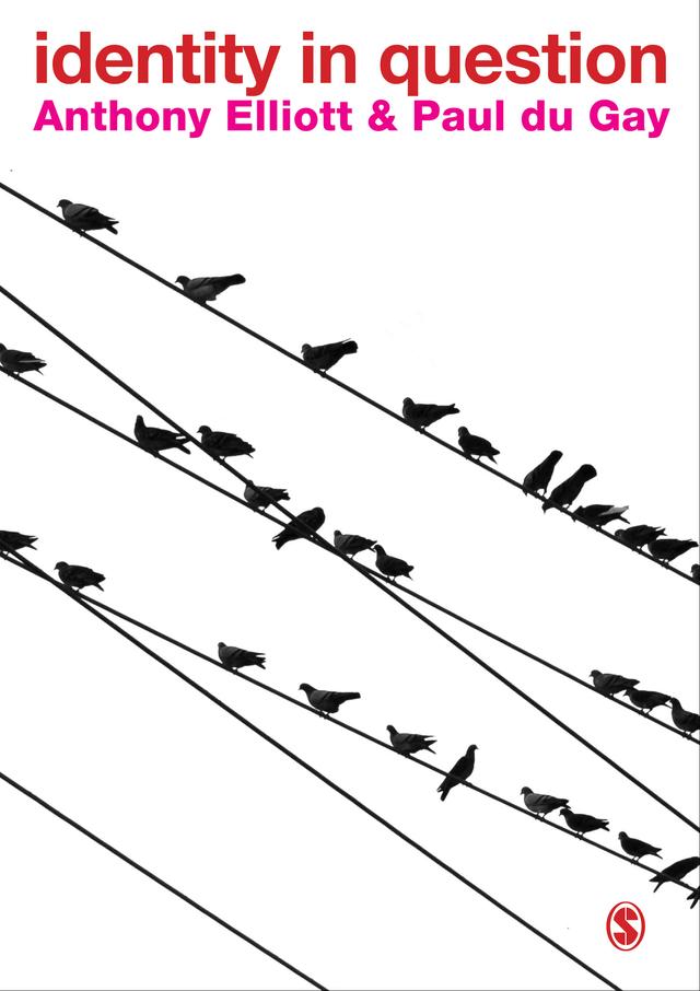 Identity in Question by Anthony Elliott